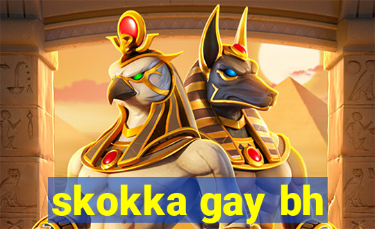 skokka gay bh